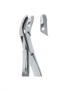 Extracting Forceps